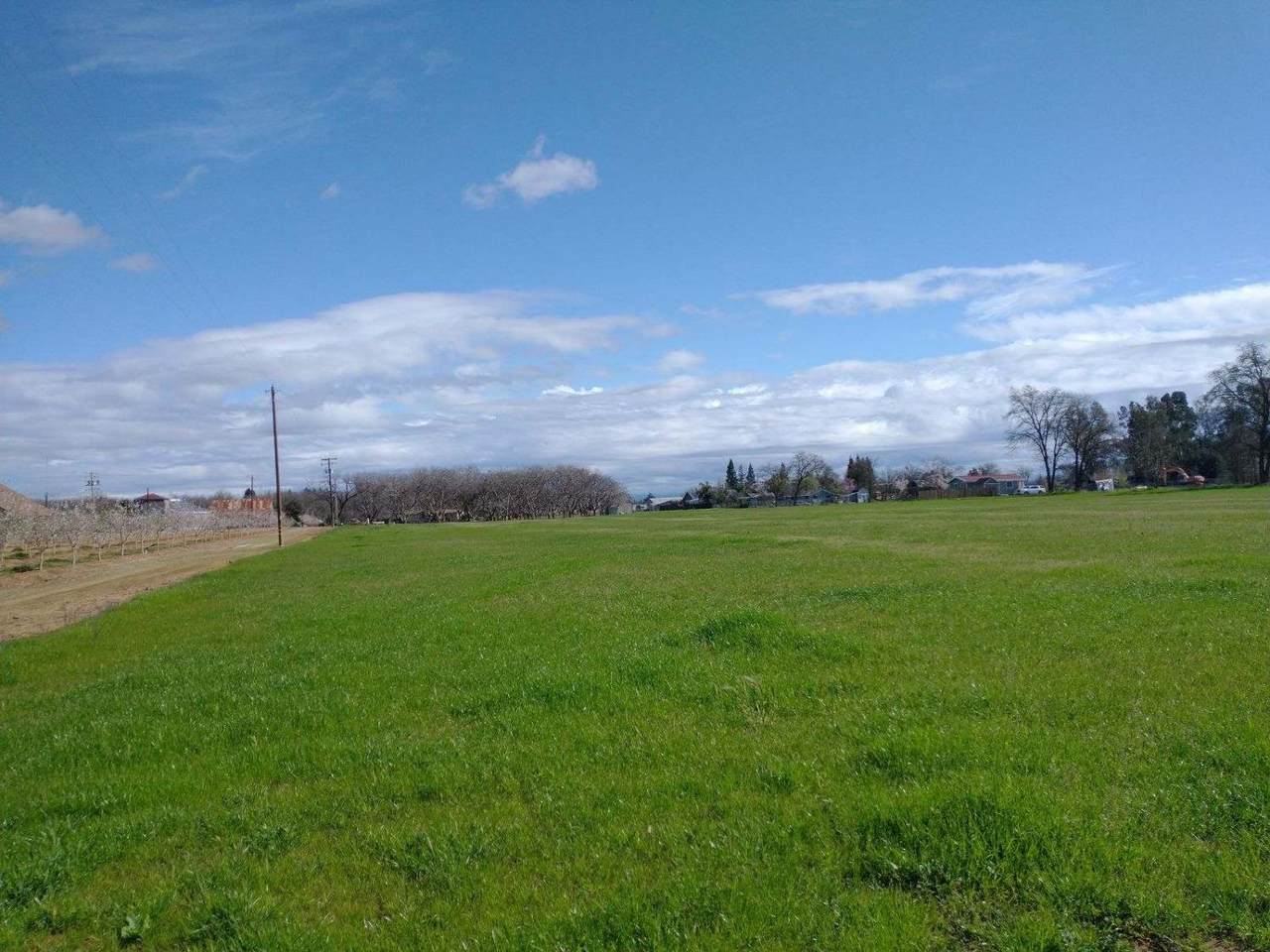 https://bt-photos.global.ssl.fastly.net/sacramento/1280_boomver_1_560973123-2.jpg