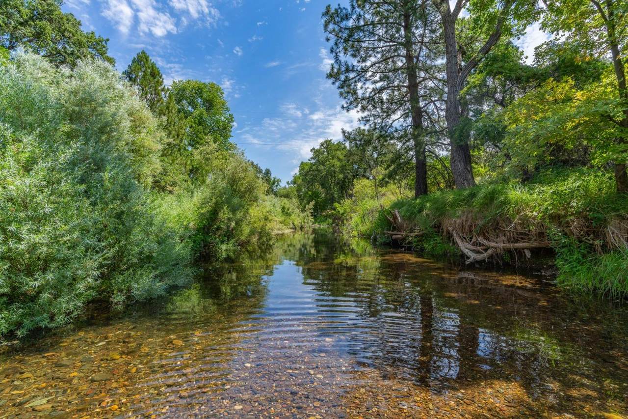 0 Sutter Creek Road - Photo 1