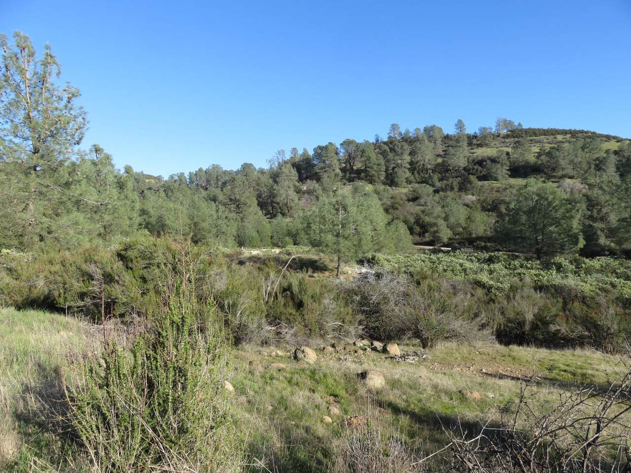 0 White Rock Road - Photo 1