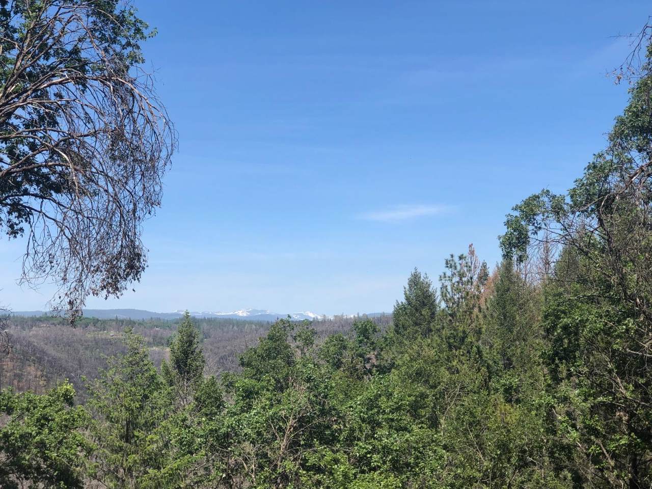 https://bt-photos.global.ssl.fastly.net/sacramento/1280_boomver_1_560973823-2.jpg