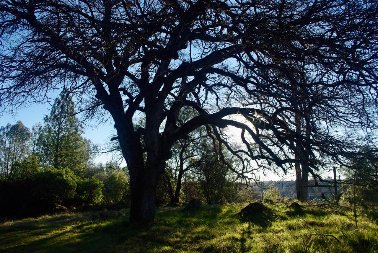 https://bt-photos.global.ssl.fastly.net/sacramento/1280_boomver_1_560973887-2.jpg