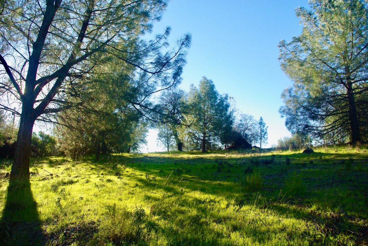 https://bt-photos.global.ssl.fastly.net/sacramento/1280_boomver_1_560973887-2.jpg
