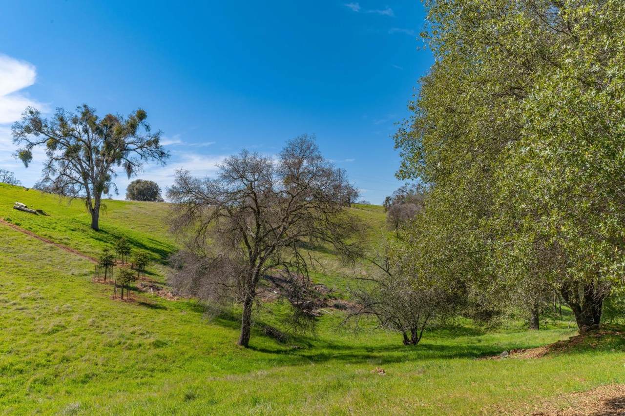 https://bt-photos.global.ssl.fastly.net/sacramento/1280_boomver_1_560974508-2.jpg