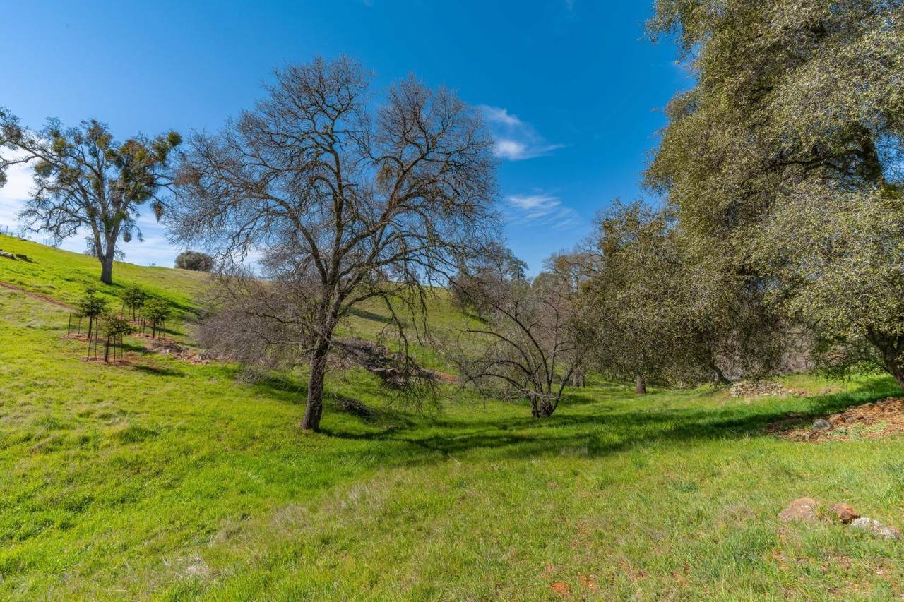 https://bt-photos.global.ssl.fastly.net/sacramento/1280_boomver_1_560974508-2.jpg