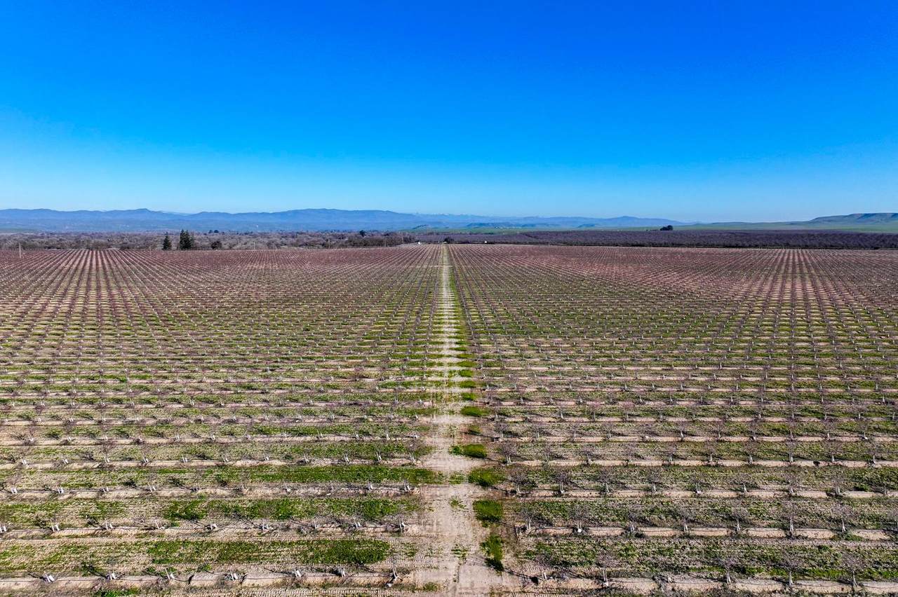https://bt-photos.global.ssl.fastly.net/sacramento/1280_boomver_1_560974532-2.jpg