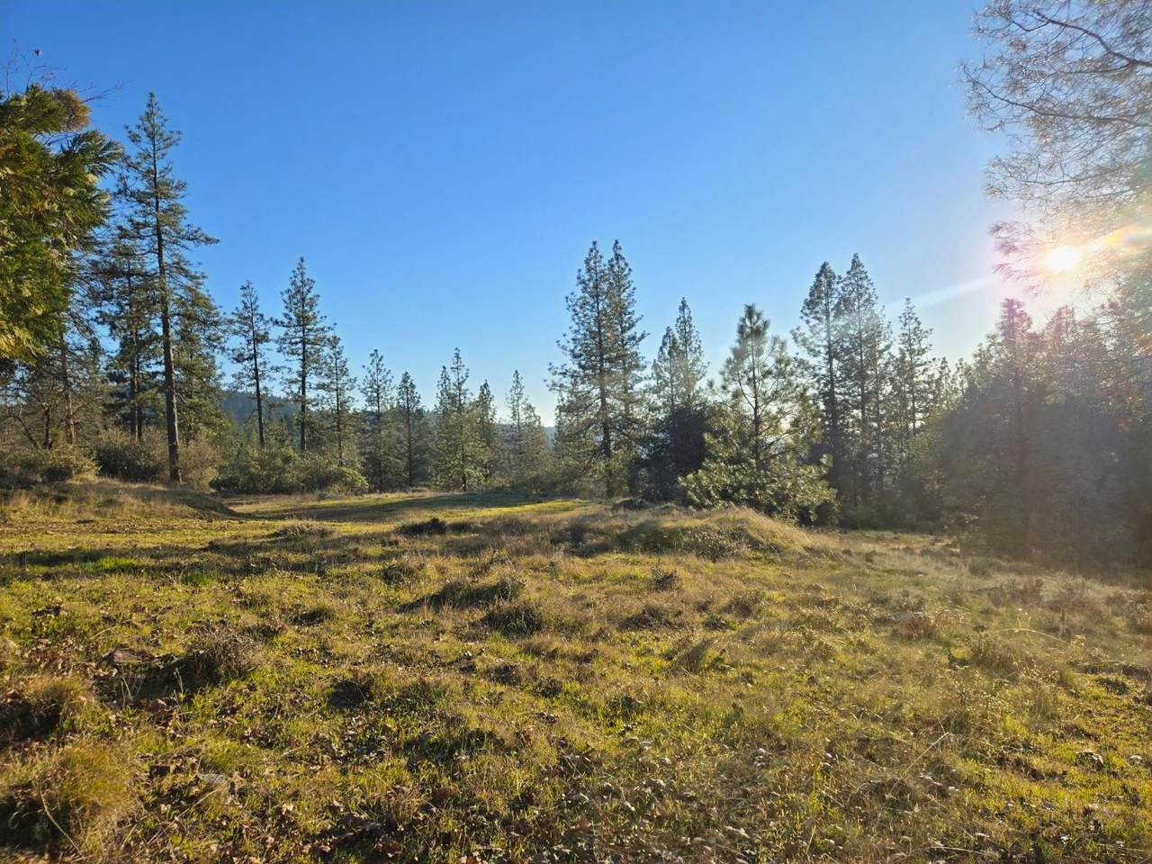 0 Double Eagle Way - Photo 1