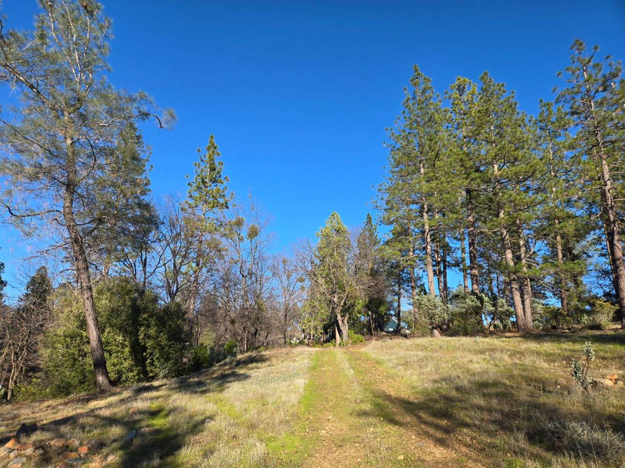 https://bt-photos.global.ssl.fastly.net/sacramento/1280_boomver_1_560975305-2.jpg