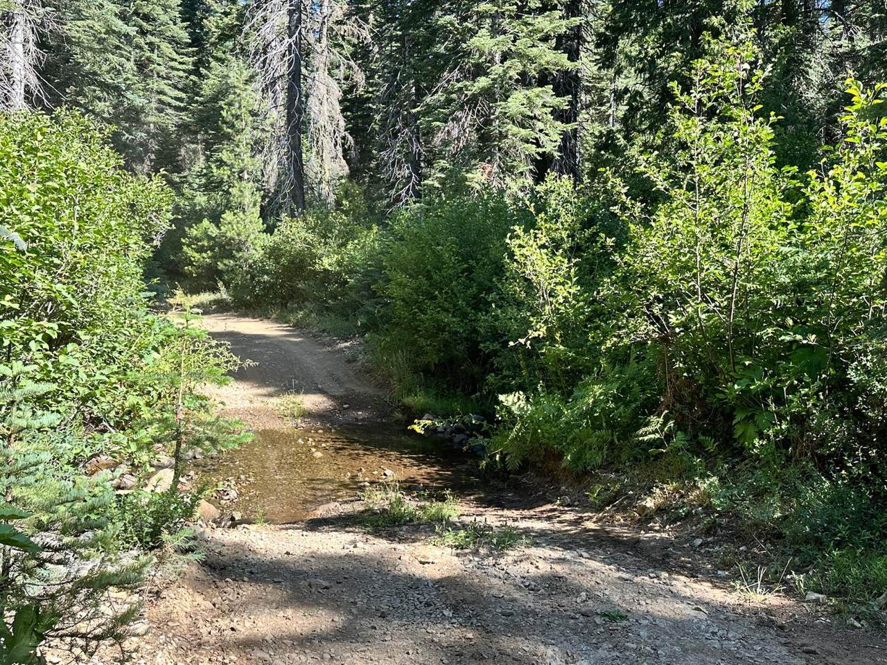 https://bt-photos.global.ssl.fastly.net/sacramento/orig_boomver_1_560975581-2.jpg