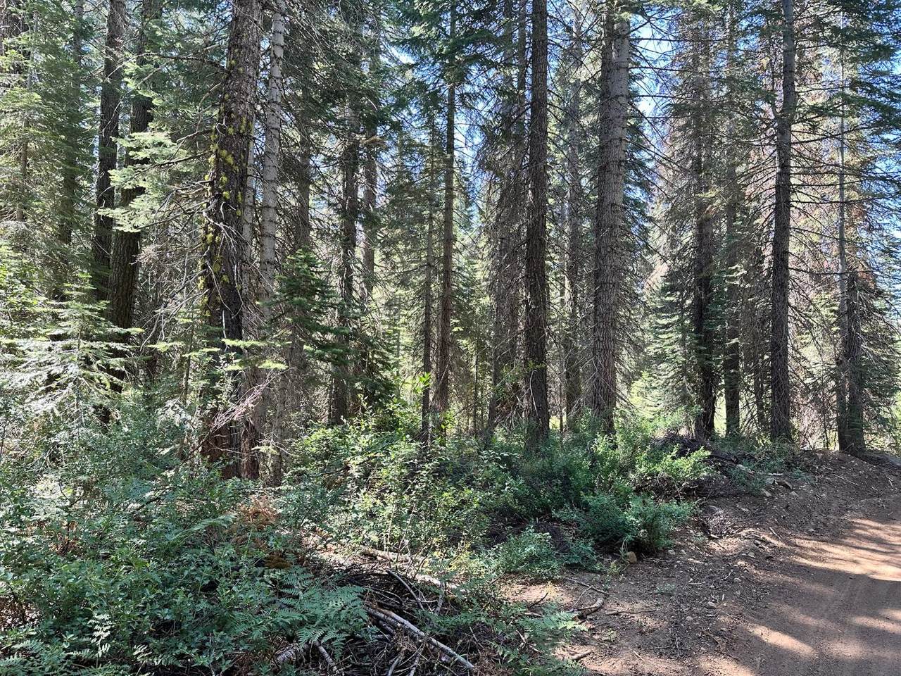 https://bt-photos.global.ssl.fastly.net/sacramento/1280_boomver_1_560975595-2.jpg