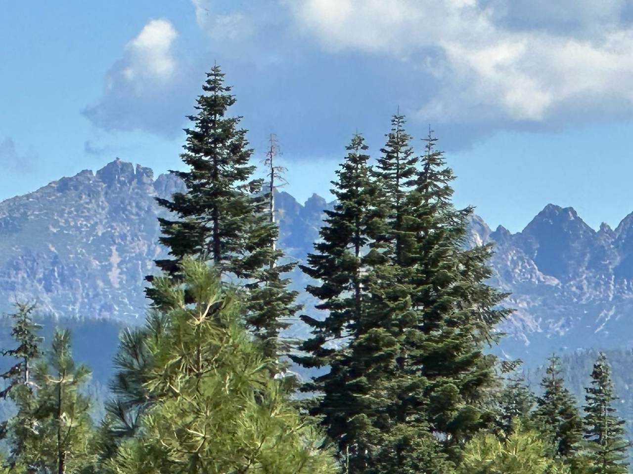 https://bt-photos.global.ssl.fastly.net/sacramento/1280_boomver_1_560975603-2.jpg