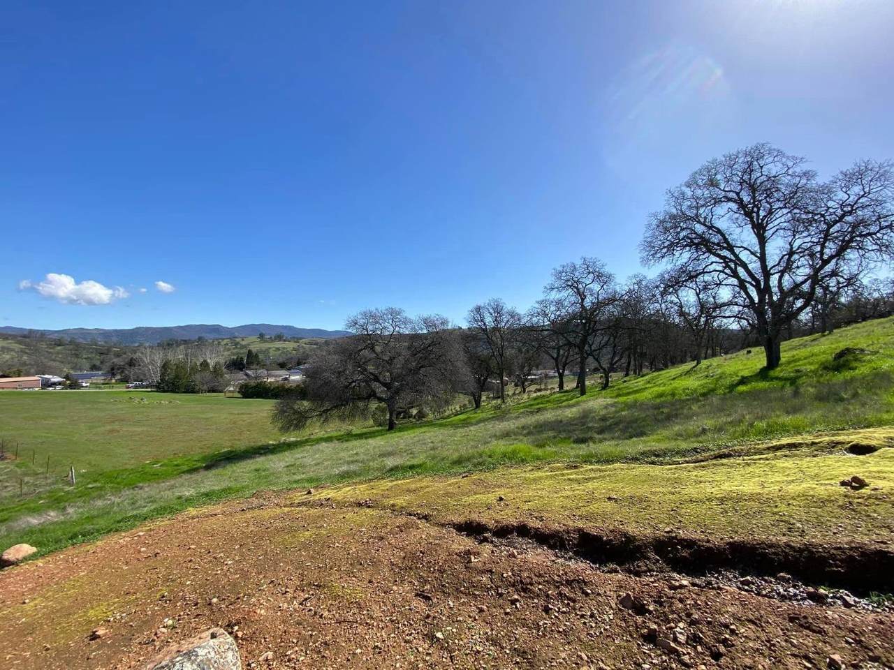 4241 Grisham Road - Photo 1