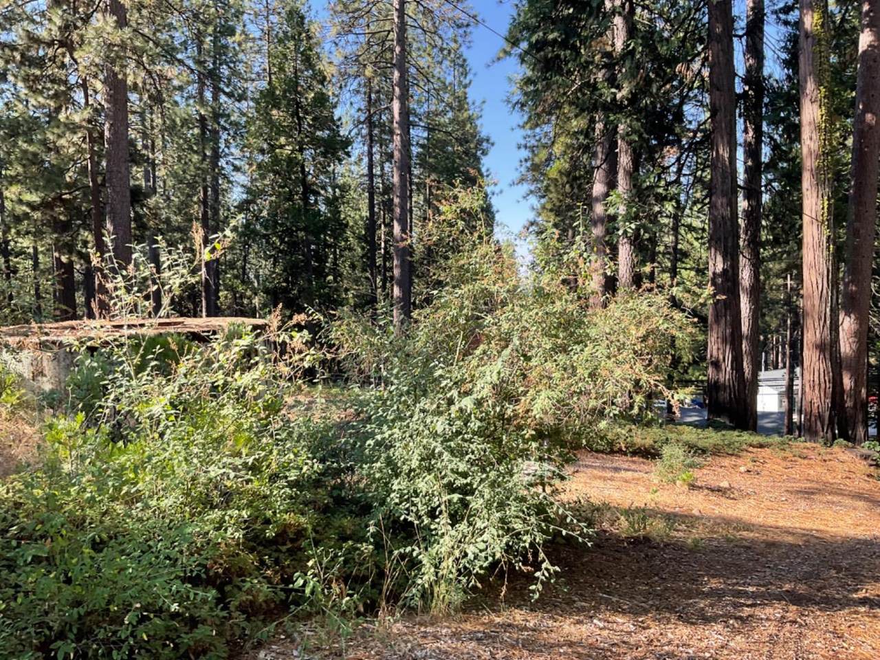 791 Highway 4 - Photo 1