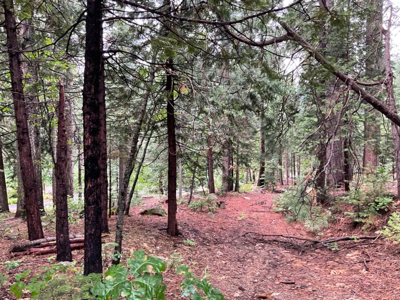 https://bt-photos.global.ssl.fastly.net/sacramento/1280_boomver_1_561024158-2.jpg