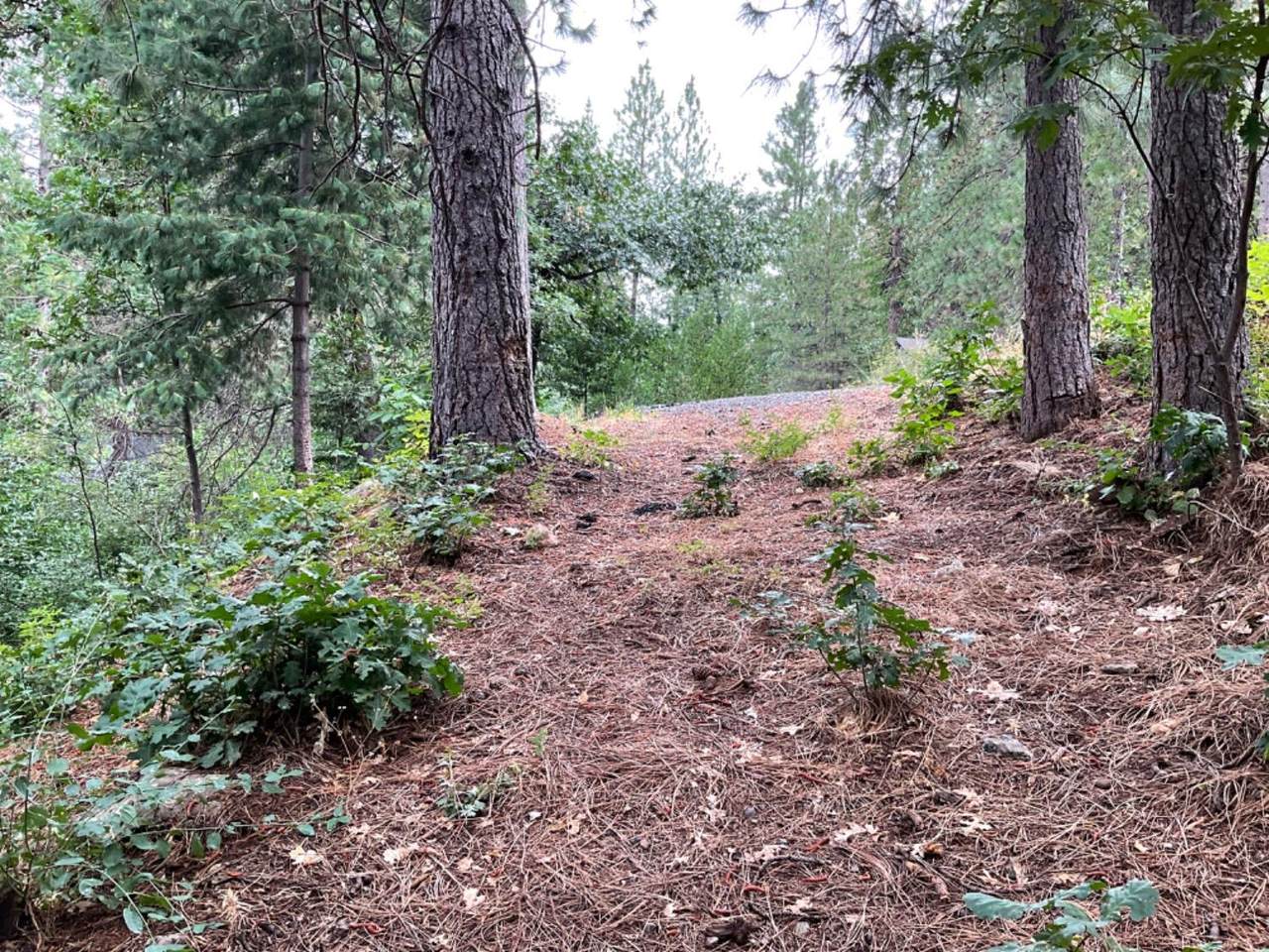 https://bt-photos.global.ssl.fastly.net/sacramento/1280_boomver_1_561024158-2.jpg