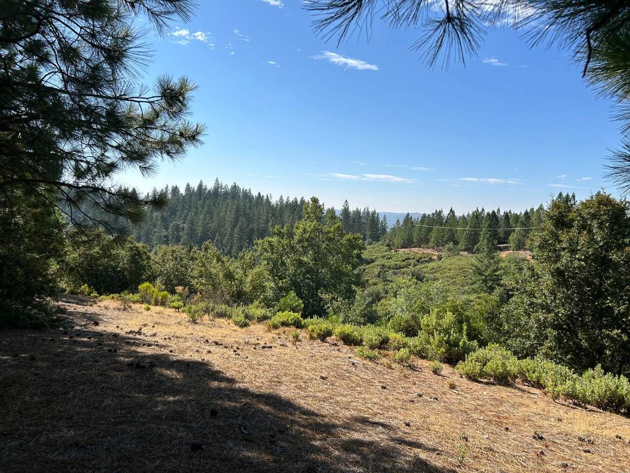 0 Sheep Ranch Road - Photo 1