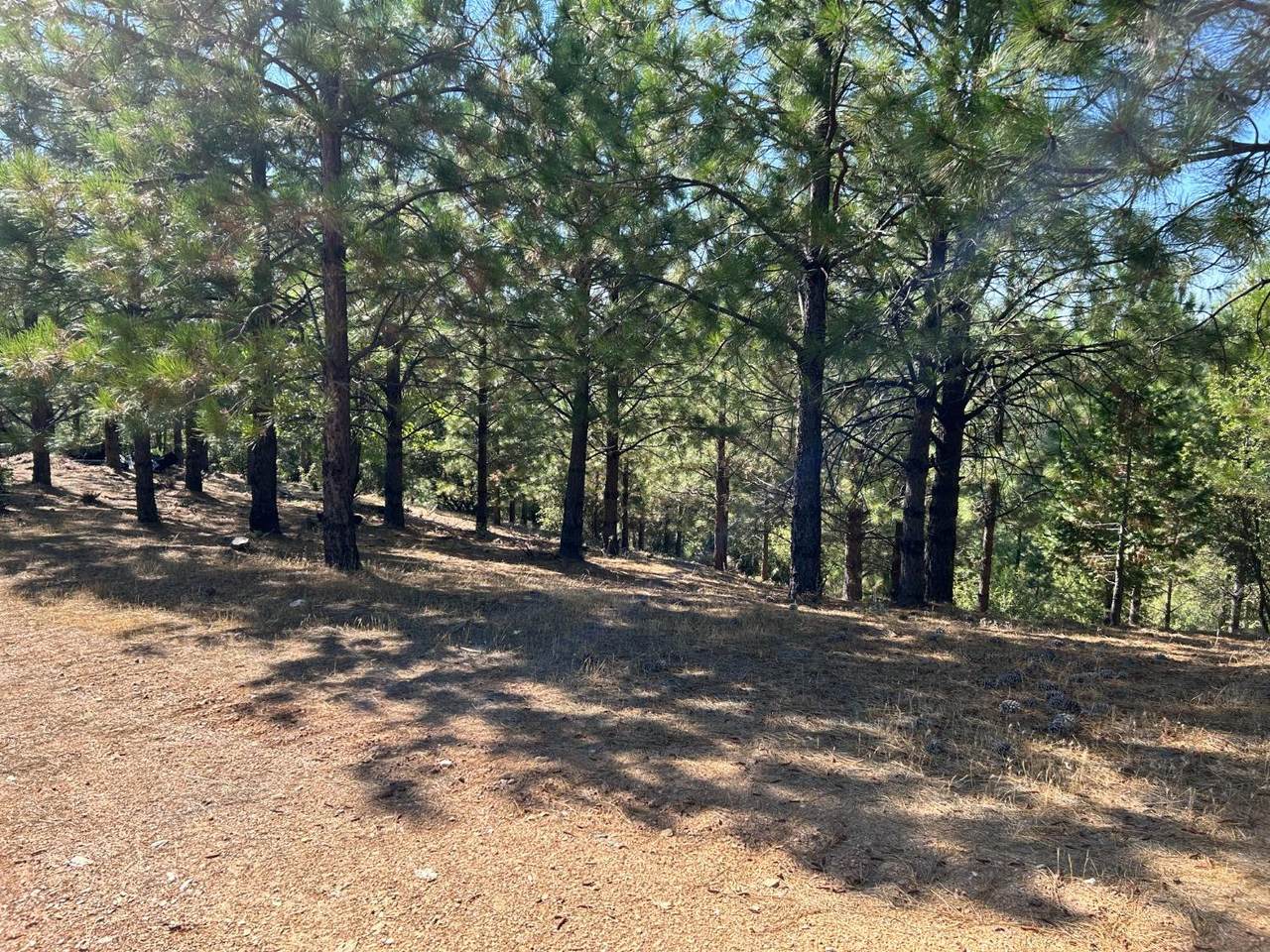 https://bt-photos.global.ssl.fastly.net/sacramento/1280_boomver_1_561028945-2.jpg