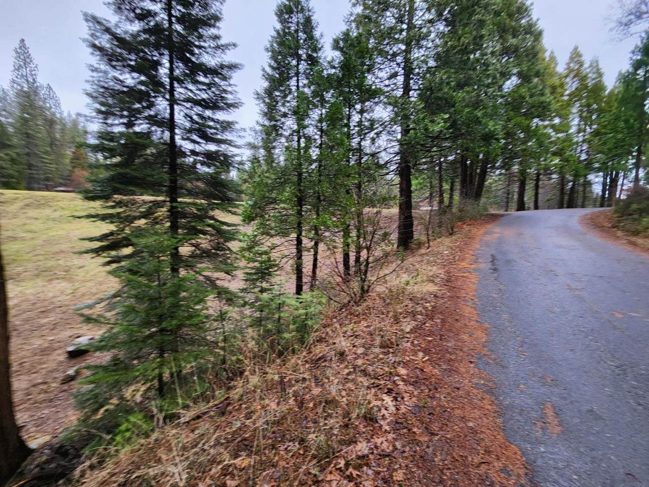 4337 Lakemont Drive - Photo 1