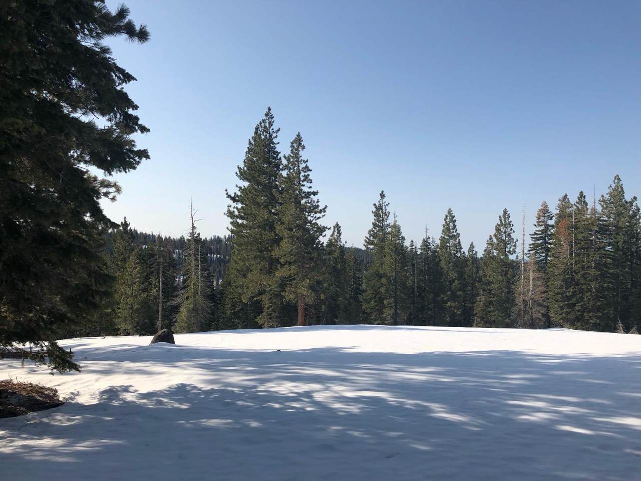 https://bt-photos.global.ssl.fastly.net/sacramento/1280_boomver_1_561029674-2.jpg