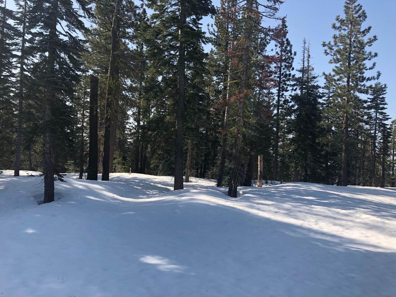 https://bt-photos.global.ssl.fastly.net/sacramento/1280_boomver_1_561029674-2.jpg