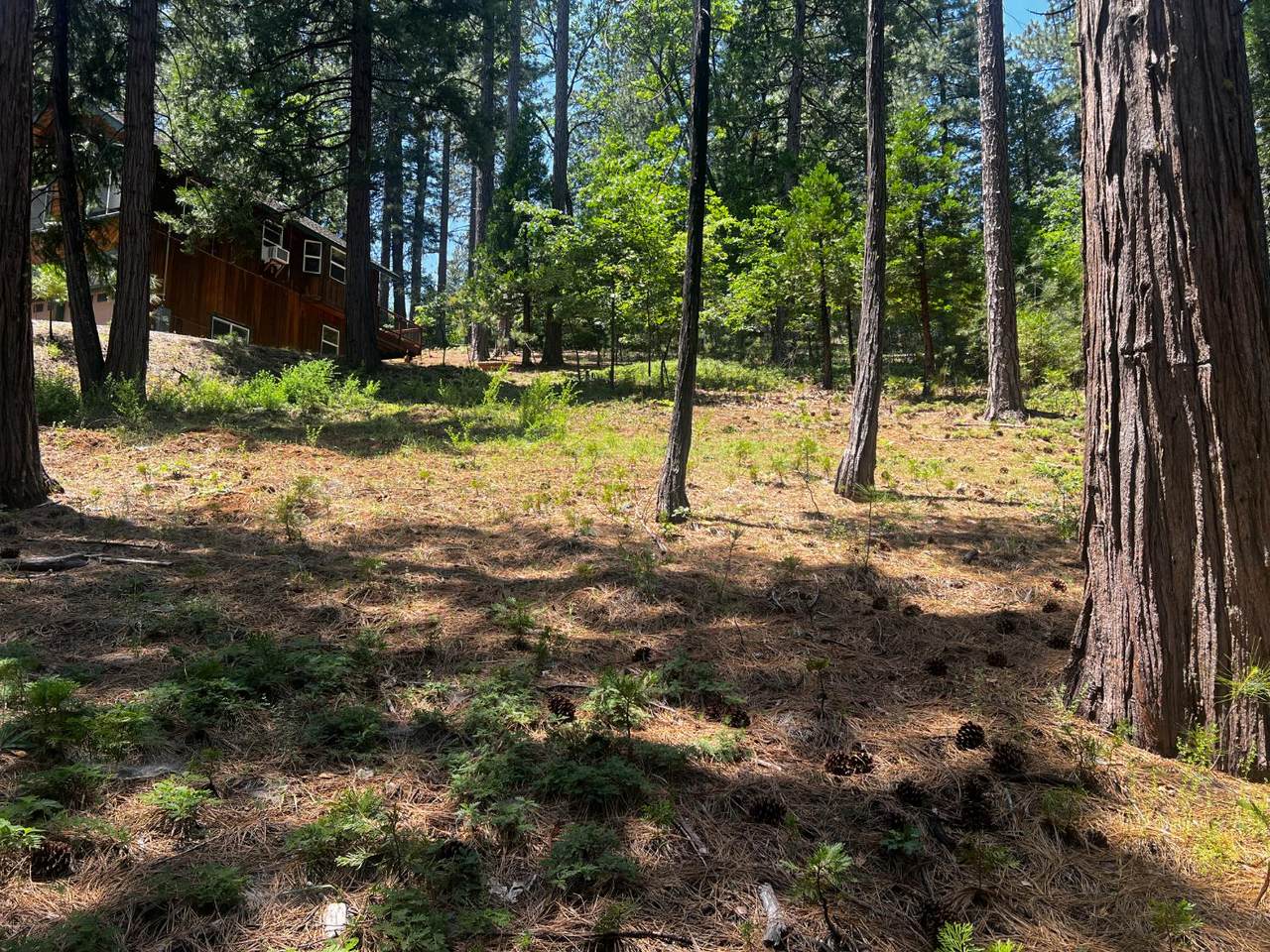 2904 Venado Drive - Photo 1