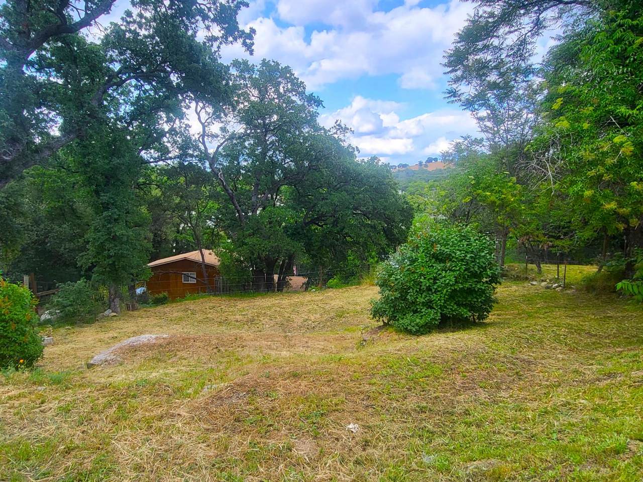 1350 Love Street - Photo 1