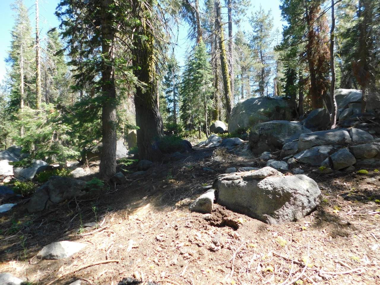 0 Kitch Trail - Photo 1
