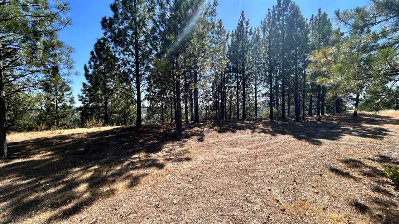 773 Red Fox Road - Photo 1