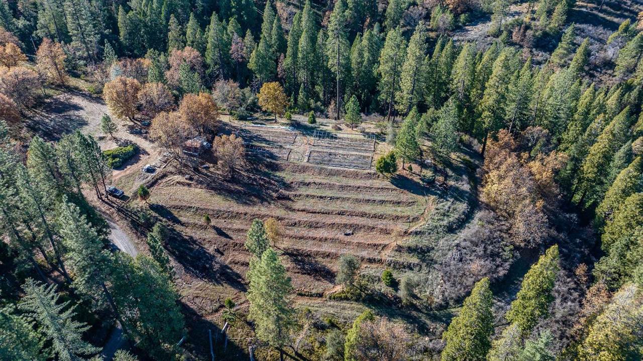 3035 Wharregard Road - Photo 1