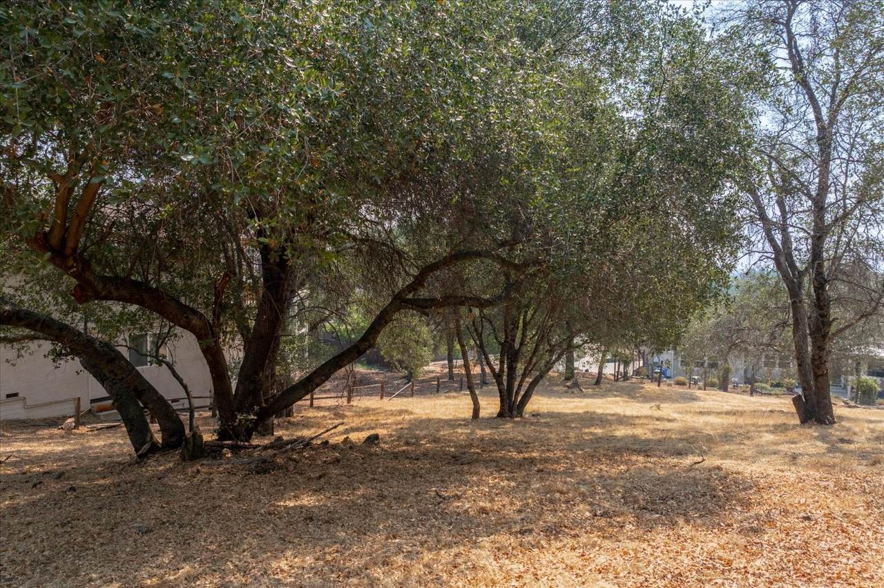 0 736 Live Oak - Photo 1