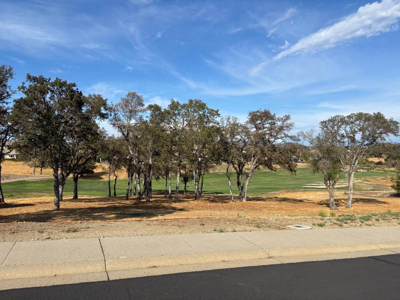 https://bt-photos.global.ssl.fastly.net/sacramento/1280_boomver_1_561030317-2.jpg