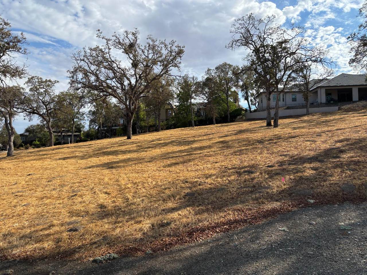https://bt-photos.global.ssl.fastly.net/sacramento/1280_boomver_1_561030317-2.jpg