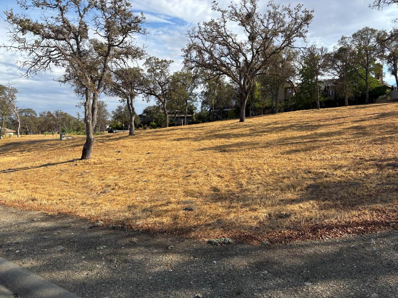 https://bt-photos.global.ssl.fastly.net/sacramento/1280_boomver_1_561030317-2.jpg