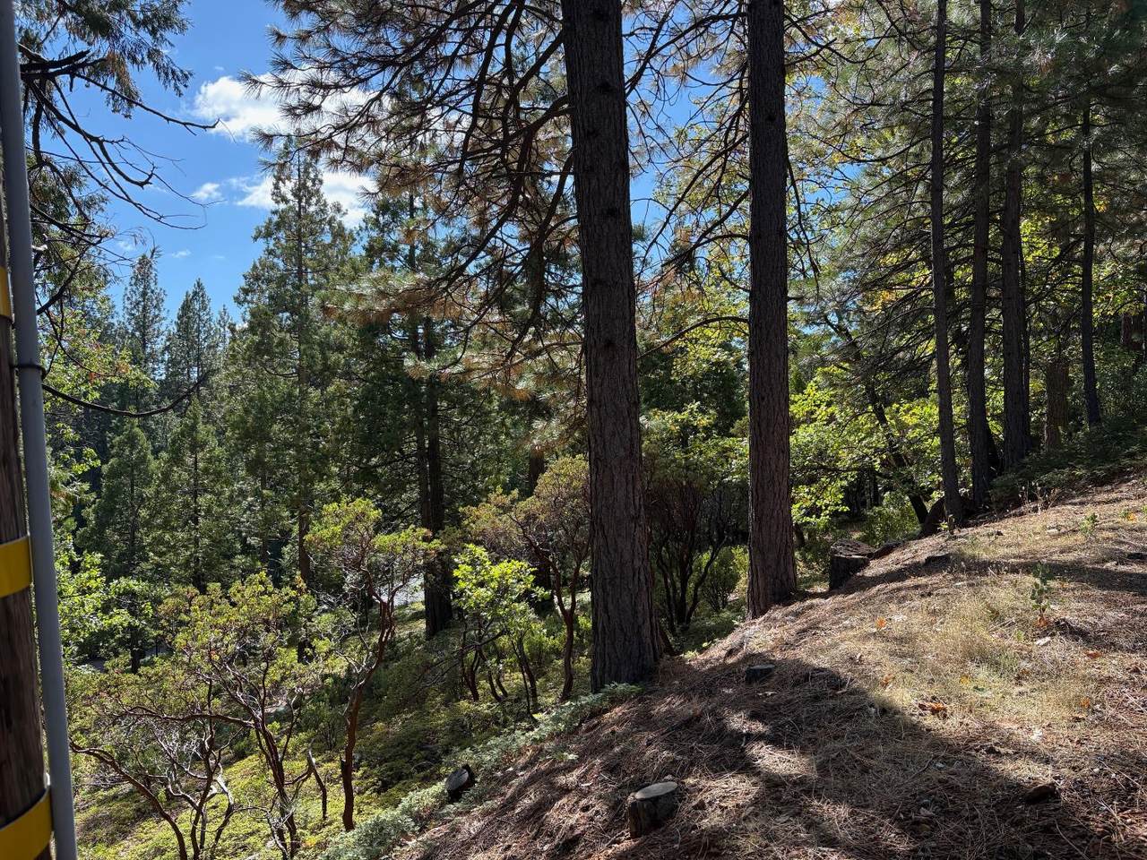 https://bt-photos.global.ssl.fastly.net/sacramento/1280_boomver_1_561030348-2.jpg