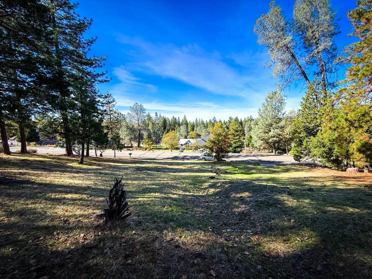 297 Forest Meadows Drive - Photo 1