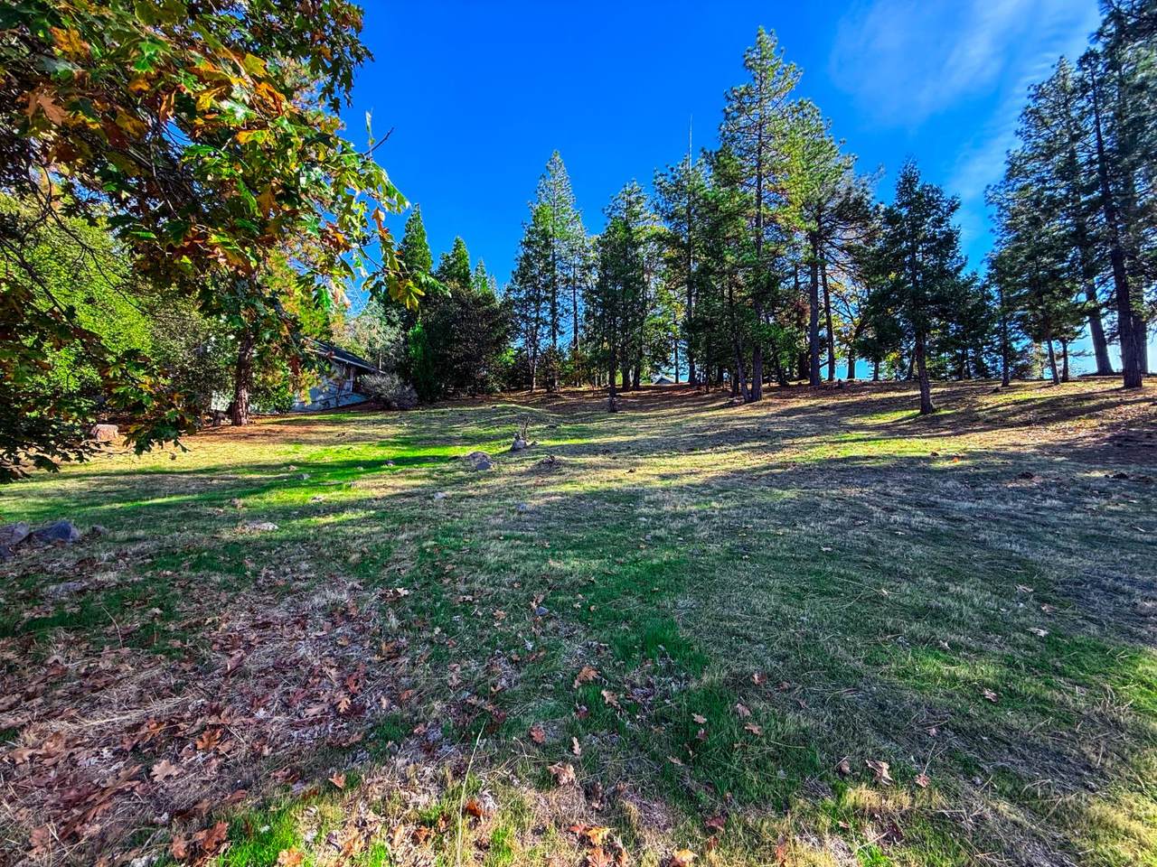 https://bt-photos.global.ssl.fastly.net/sacramento/1280_boomver_1_561030420-2.jpg