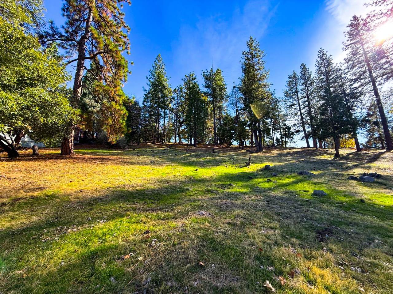 https://bt-photos.global.ssl.fastly.net/sacramento/1280_boomver_1_561030420-2.jpg