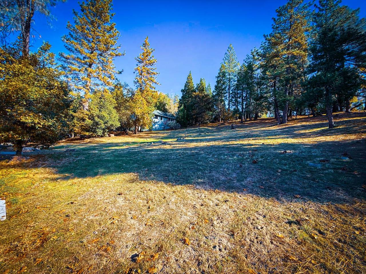 https://bt-photos.global.ssl.fastly.net/sacramento/1280_boomver_1_561030420-2.jpg