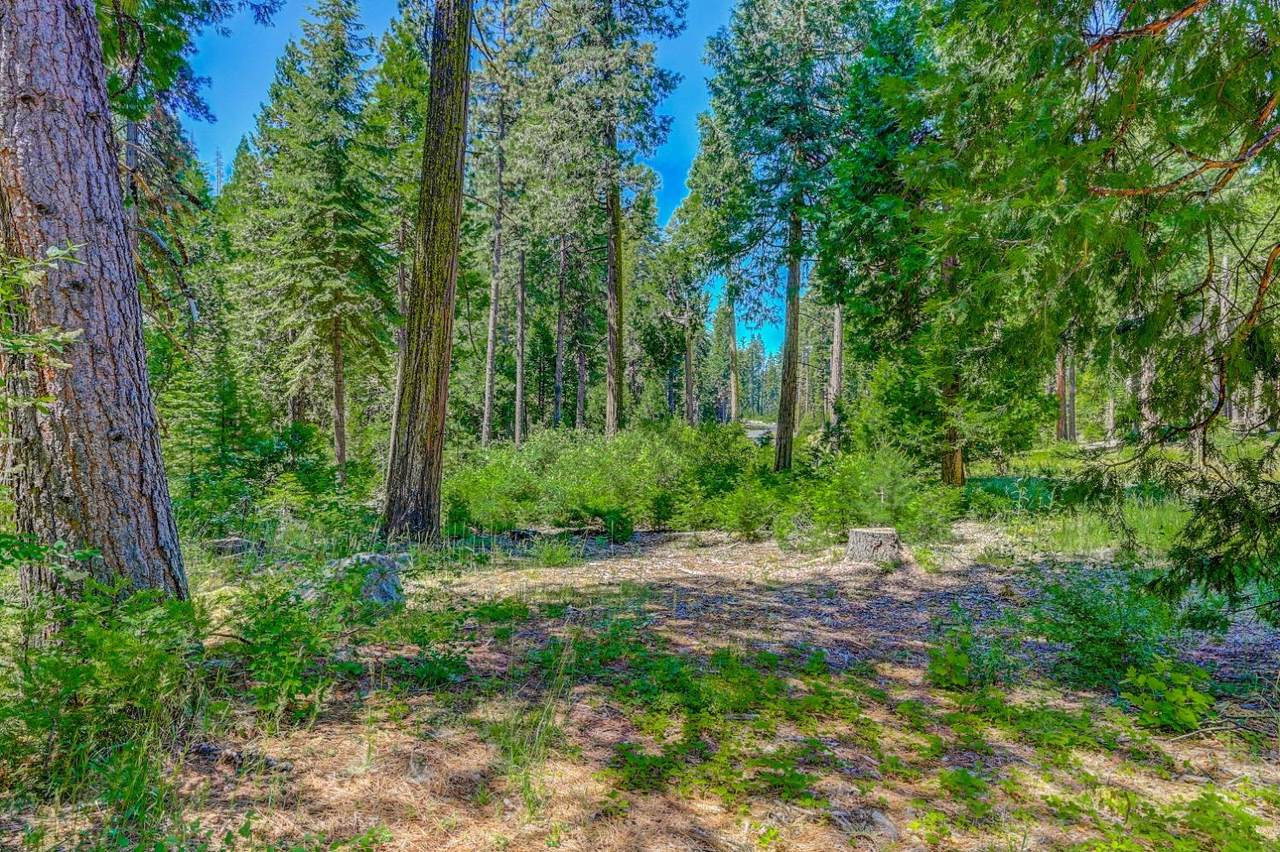 10 Timber Trail Court - Photo 1