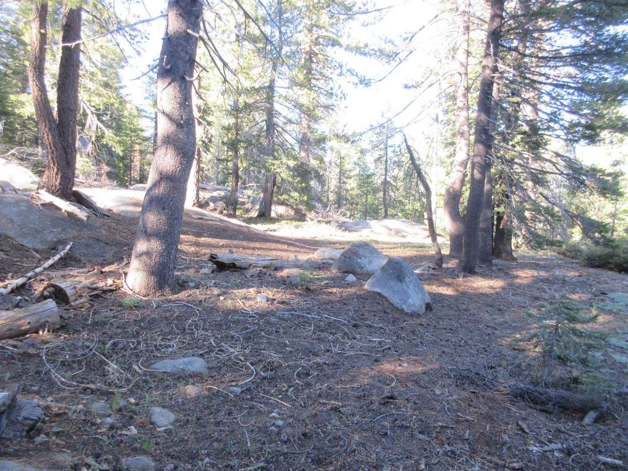 175 Silver Tip Drive - Photo 1