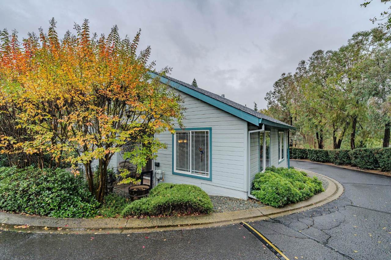 1205 Annalee Drive - Photo 1