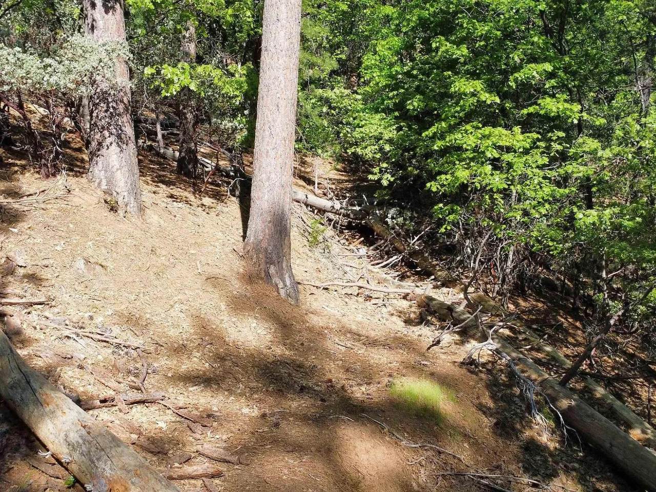 23804 Oxbow Lane - Photo 1