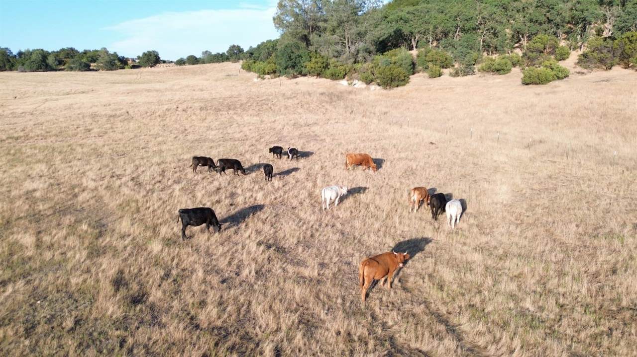 12244 Camanche Parkway South - Photo 1