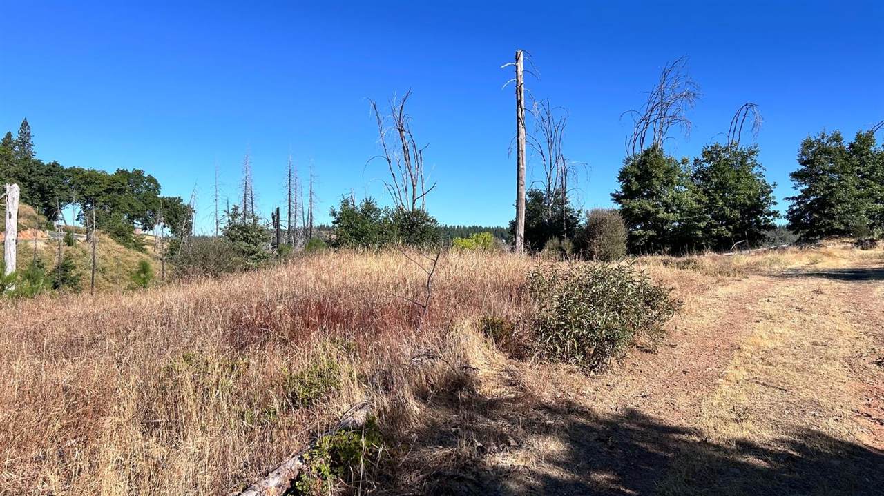 6028 Railroad Flat Rd. - Photo 1
