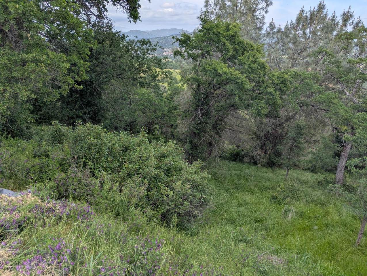 https://bt-photos.global.ssl.fastly.net/sacramento/1280_boomver_1_561030576-2.jpg