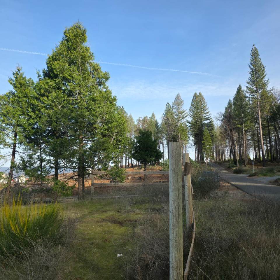 4275 Volcanoville Road - Photo 1