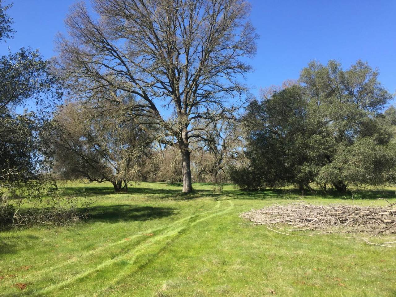 4 Diablo Circle - Photo 1