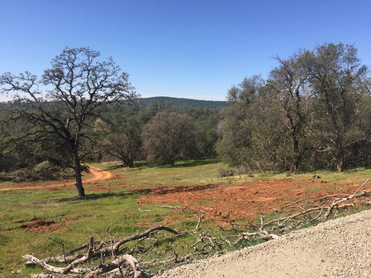 https://bt-photos.global.ssl.fastly.net/sacramento/1280_boomver_1_561031728-2.jpg