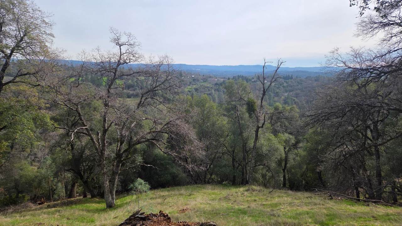 https://bt-photos.global.ssl.fastly.net/sacramento/1280_boomver_1_561031742-2.jpg