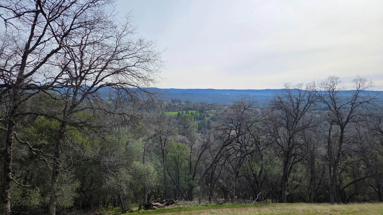 https://bt-photos.global.ssl.fastly.net/sacramento/1280_boomver_1_561031742-2.jpg