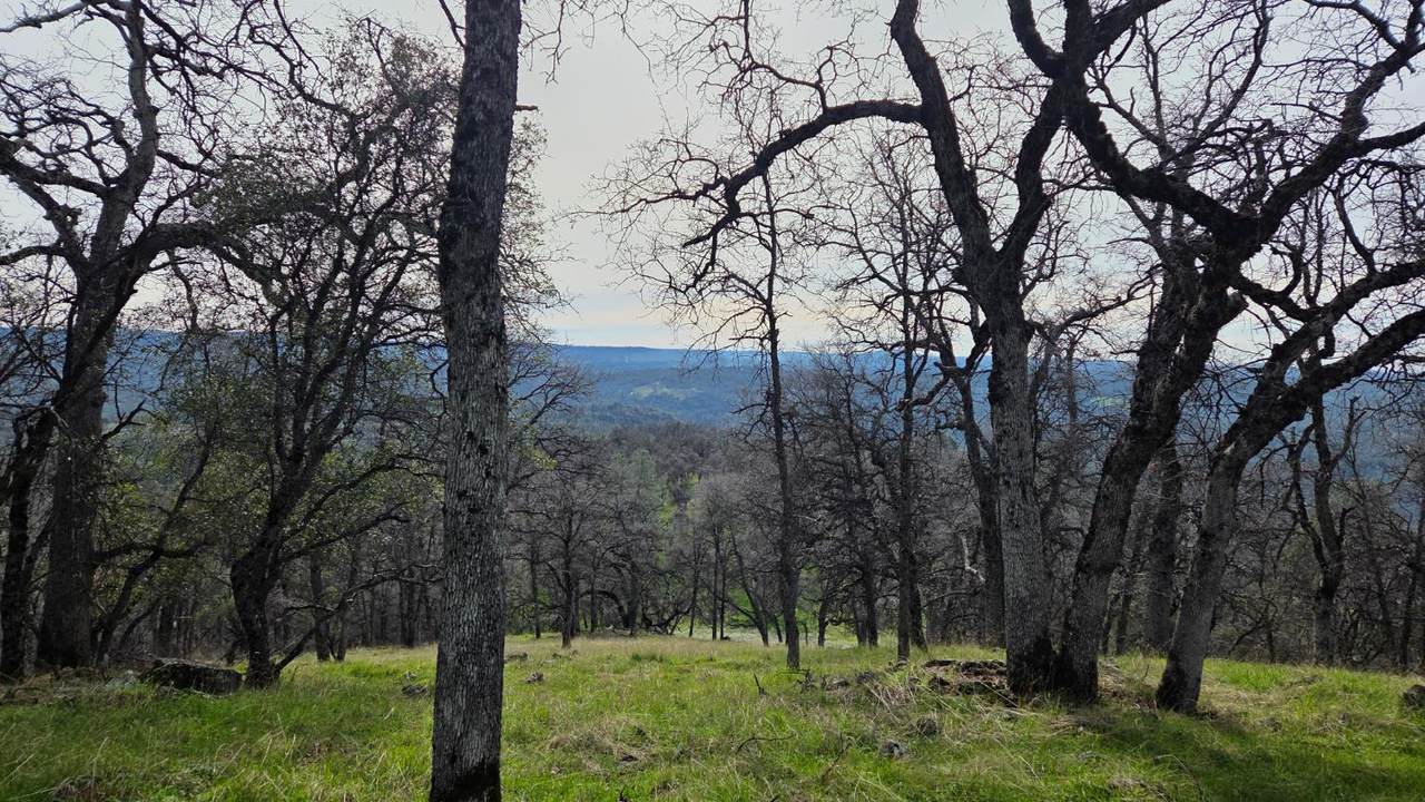 https://bt-photos.global.ssl.fastly.net/sacramento/1280_boomver_1_561031742-2.jpg